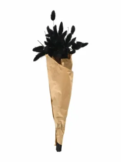 Lagurus|Kibek Clearance