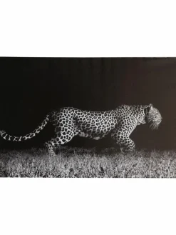 Leopard auf der Jagd|Kibek Best