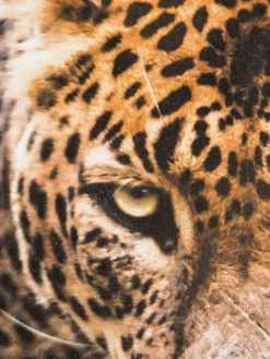 Leopard im Gras|Kibek