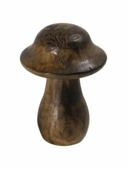 Levato|Kibek Discount