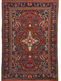 Lilian Hamadan|Kibek New