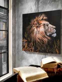 Löwe im Gras|Kibek Online