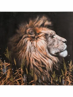 Löwe im Gras|Kibek Online