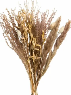 Lytra|Kibek Discount