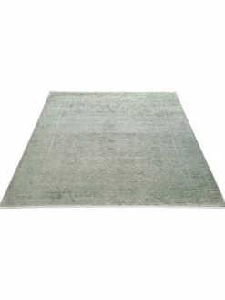 Magnificence|Kibek Clearance