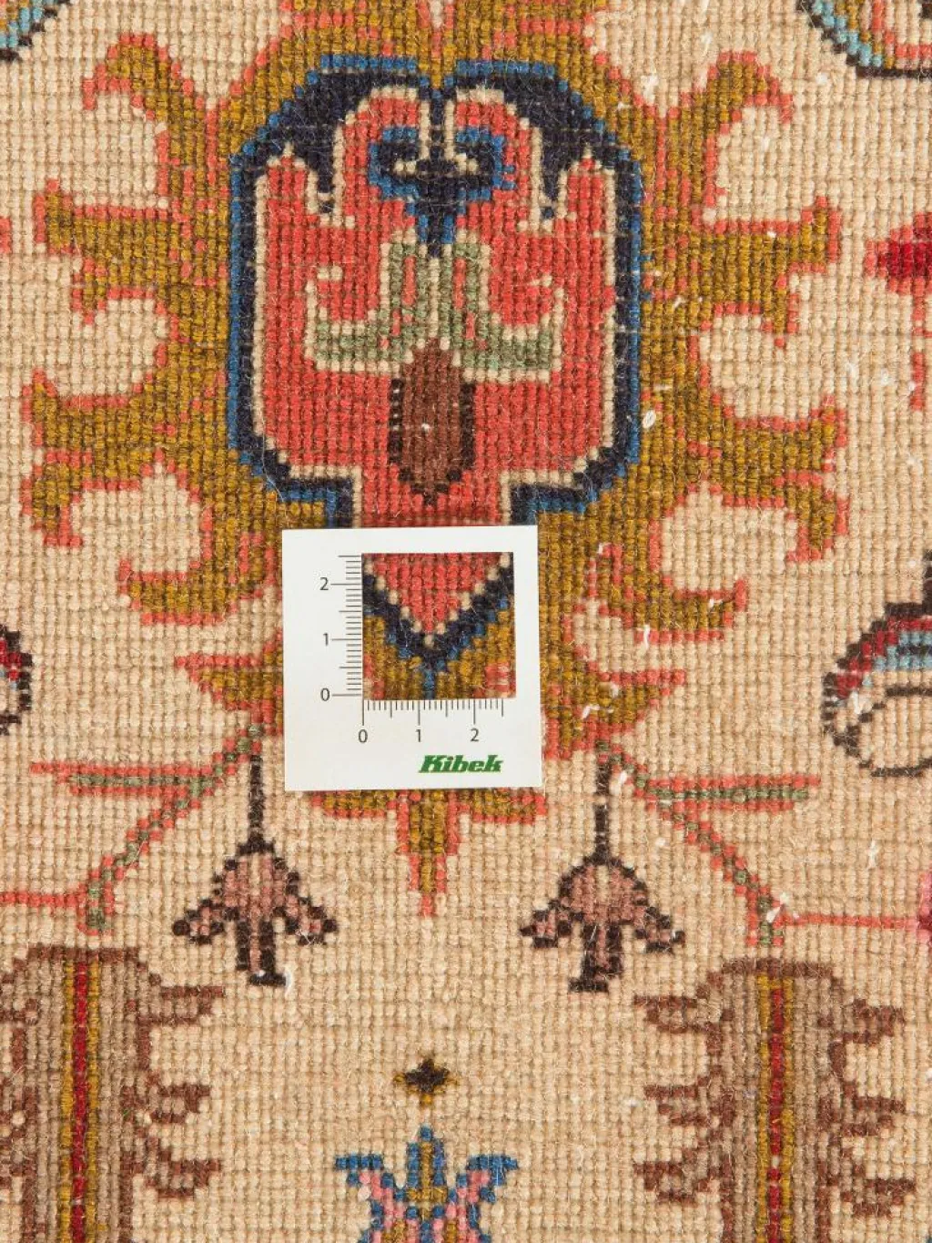 Meshkin|Kibek Discount