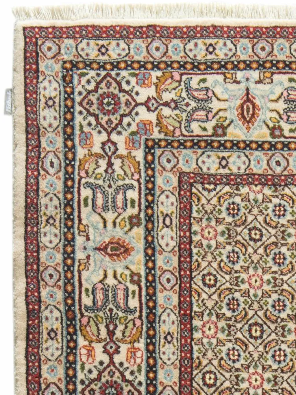 Moud Mahi|Kibek Sale