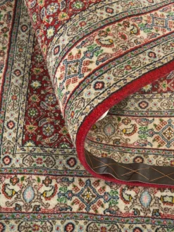 Moud Mahi|Kibek Online