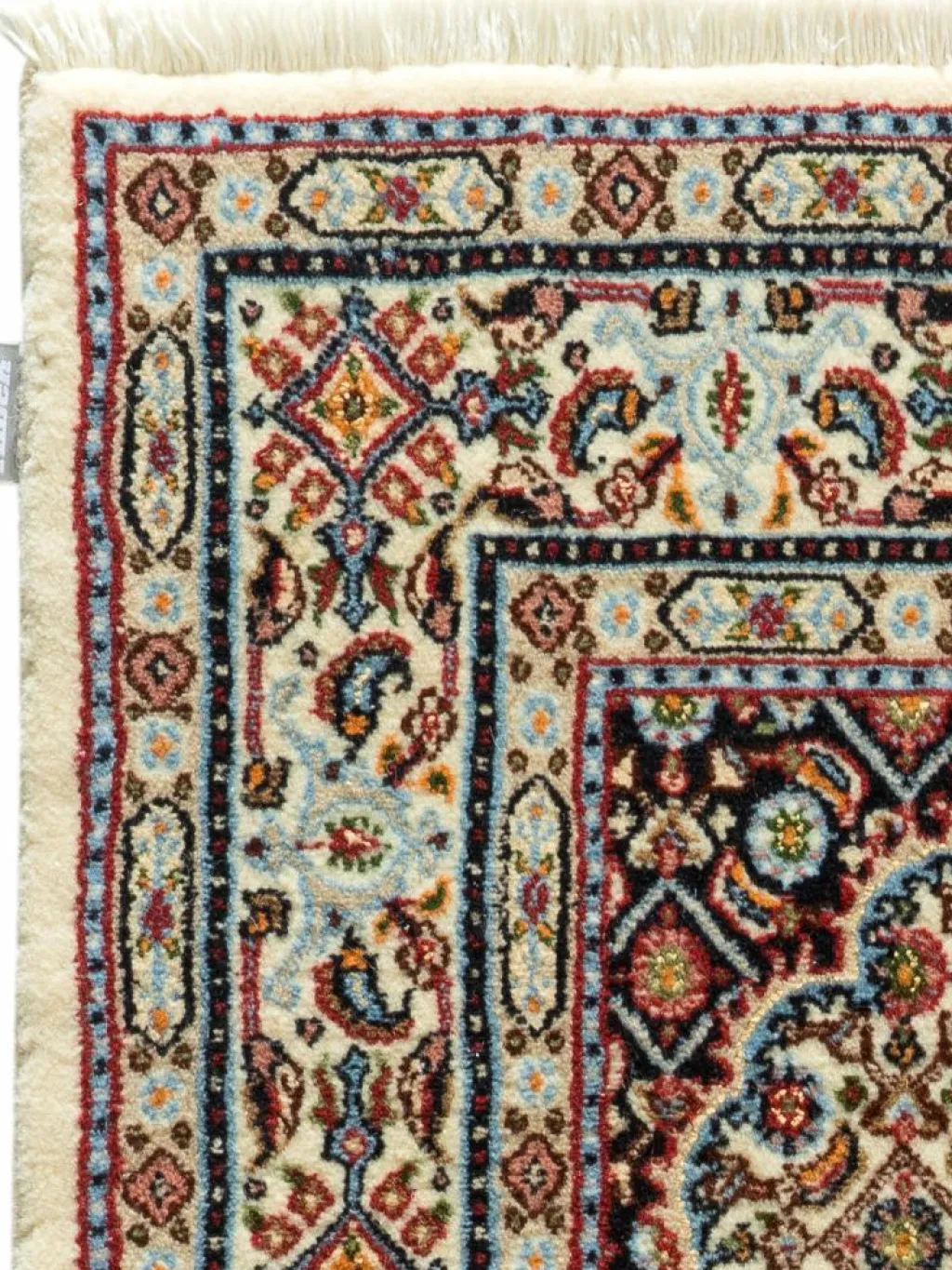 Moud Mahi|Kibek Sale