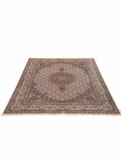 Moud Mahi|Kibek Online