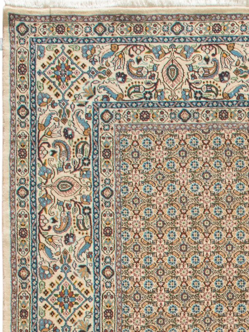 Moud Mahi|Kibek Sale