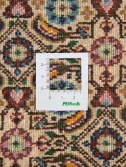 Moud Mahi|Kibek Sale