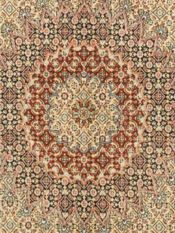 Moud Mahi|Kibek Sale