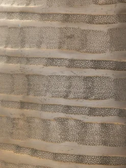 Muggle|Kibek Discount