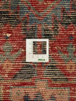 Nahavand Hamadan|Kibek Online