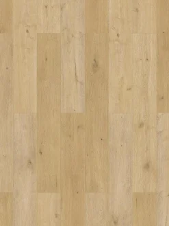 Natura|Kibek Clearance