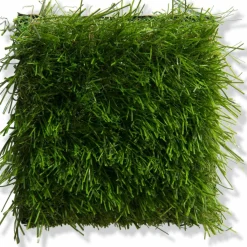 Naturale Green|Kibek Best