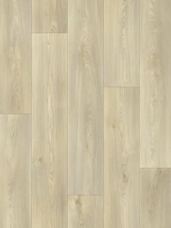 Nature Royal|Kibek Online