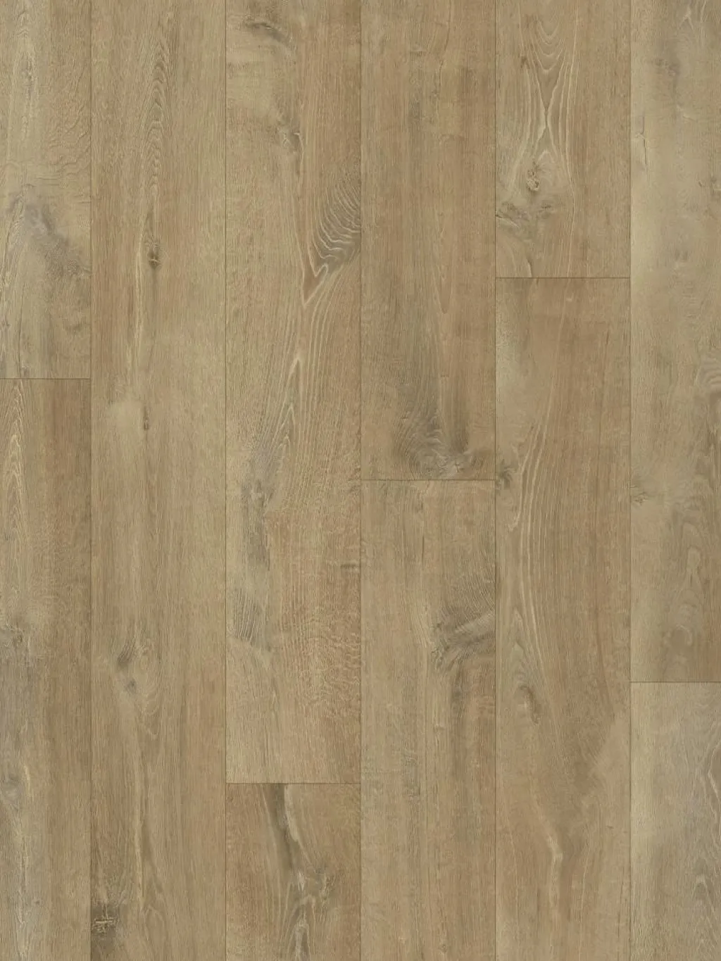 Nature Royal|Kibek Sale