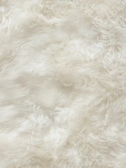 New Zealand Star|Kibek Outlet