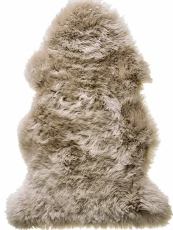 New Zealand Star|Kibek