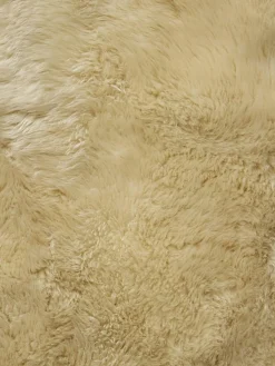 New Zealand Star|Kibek Best