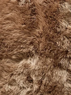 New Zealand Star|Kibek Sale