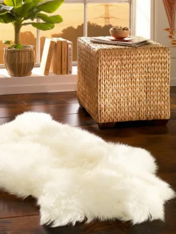 New Zealand Star|Kibek Best