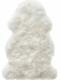 New Zealand Star|Kibek Best