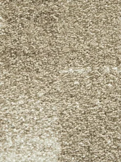 Night Life|Kibek Discount