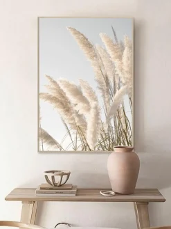 Pampas Wind|Kibek Clearance