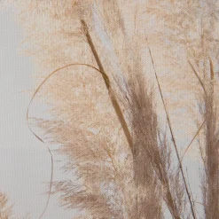 Pampas Wind|Kibek Clearance