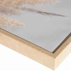 Pampas Wind|Kibek Clearance