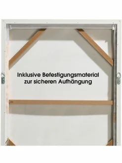 Pampas Wind|Kibek Clearance