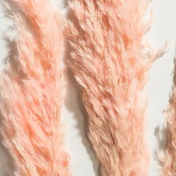 Pampasgrasbündel 3er|Kibek Hot