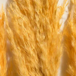 Pampasgrasbündel 3er|Kibek Best