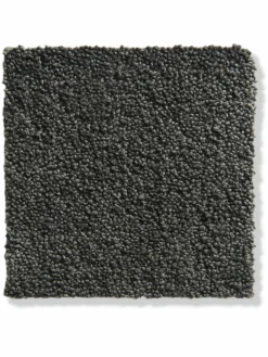 Parma|Kibek Clearance