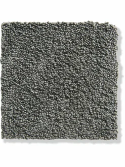 Parma|Kibek Discount