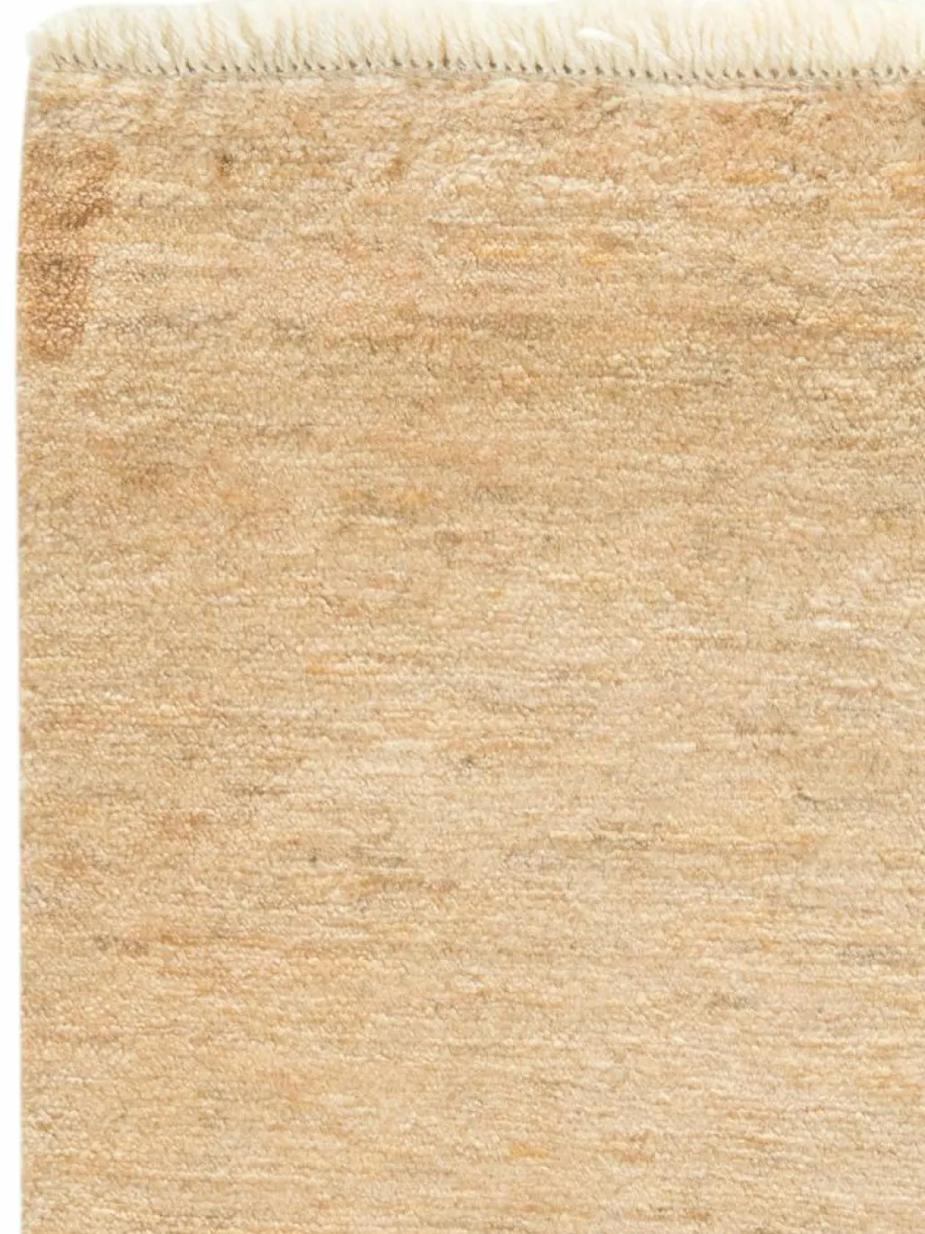 Persischer Loribaff|Kibek Online