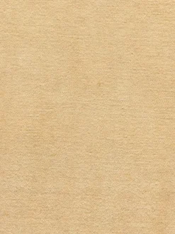 Persischer Loribaff|Kibek Sale