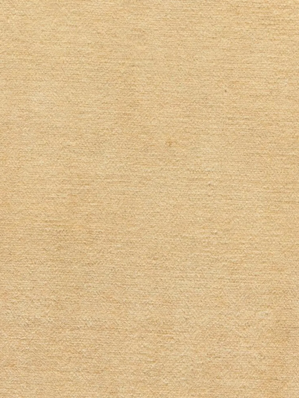 Persischer Loribaff|Kibek Sale