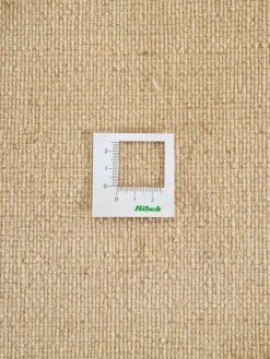 Persischer Loribaff|Kibek Sale