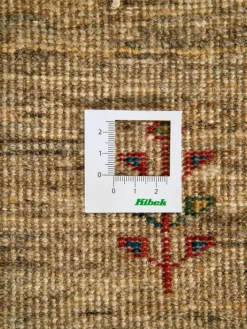 Persischer Loribaff|Kibek Sale