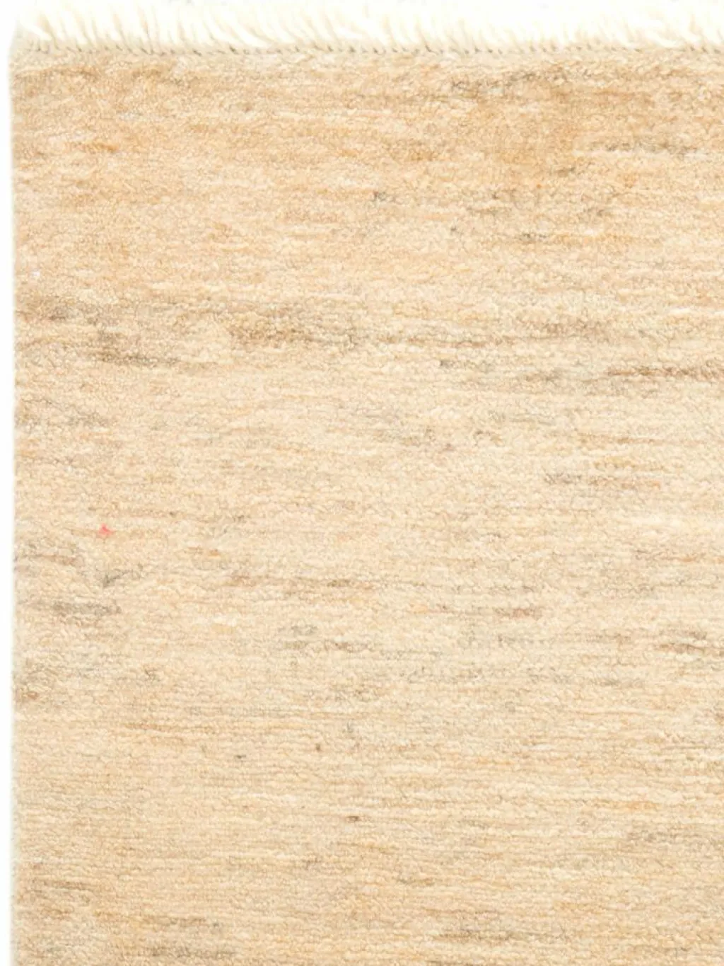 Persischer Loribaff|Kibek Best