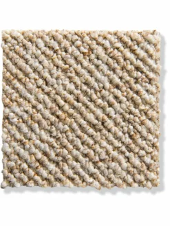 Pescara|Kibek Clearance