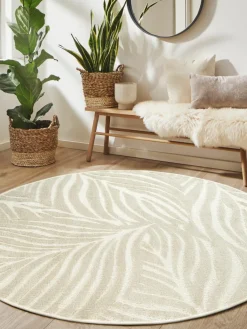 Pianta|Kibek Clearance