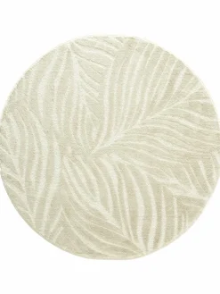 Pianta|Kibek Clearance