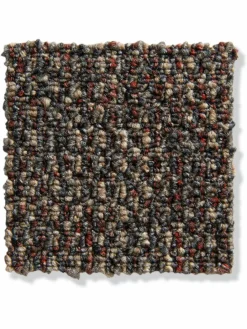 Quantum|Kibek Discount