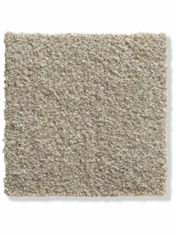 Salerno|Kibek Clearance