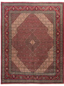 Sarough Mashayekhi|Kibek Hot